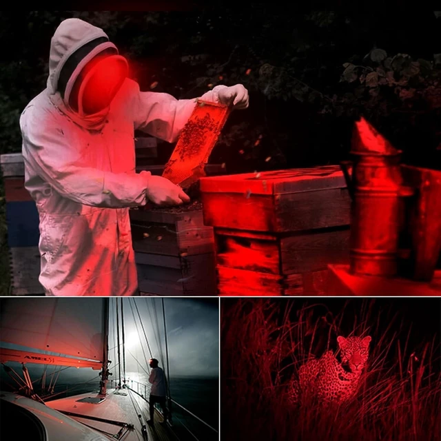 Alt view image 14 of 14 - XLENTGEN Red Light Hunting Headlamp Rechargeable Red LED Headlamps 3 Modes Super Bright Red Headlamp for Coon Coyote Hog Predator Hunting Astronomy & Night Photography (Batteries Included)