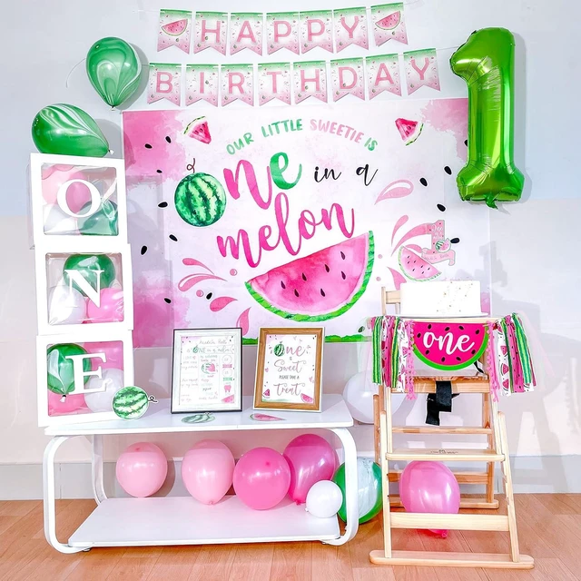 Alt view image 12 of 12 - One in A Melon Party Decorations, Watermelon First Birthday Party Supplies, One in a Melon Backdrop High Chair Banner, Baby 1st Birthday Balloon Boxes