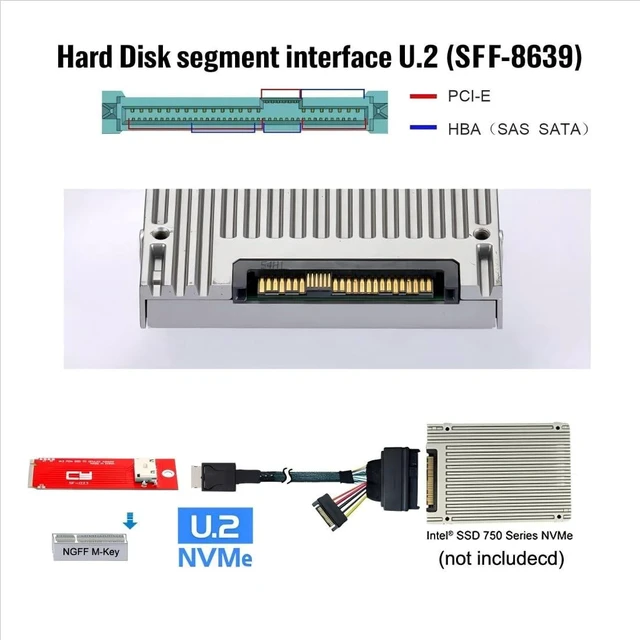 Alt view image 9 of 10 - chenyang PCIe 4.0 M.2 NGFF to Oculink SFF-8612 Adapter 2260/2280mm with SFF-8611 to SFF-8639 Cable for U.2 SFF-8639 NVME PCIe SSD