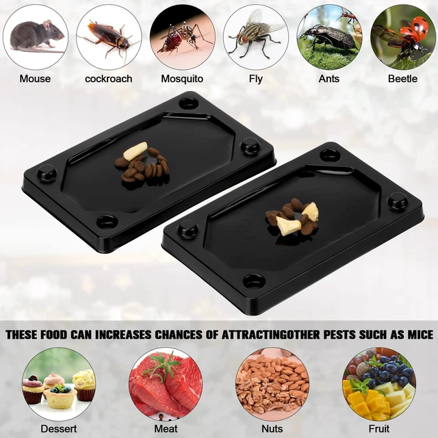 Alt view image 9 of 12 - Pieces Mouse and Insect Glue Traps Heavier Sticky Traps with Non-Toxic Glue for Mice and Insects, Pet and Children Safe (3 x 5 Inch)