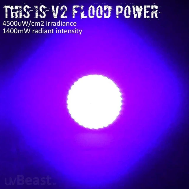 Alt view image 6 of 7 - V2 Black Light UV Flashlight, High-Definition Flood Effect 385-395nm UV, Works in Ambient Light, for Commercial/Domestic Use, USA Stock, UK Design