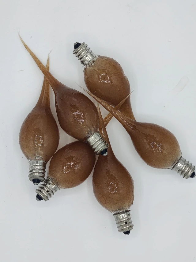Main image of On The Bright Side Primitive Silicone Dipped 5 Watt Light Bulb - Pack of 6 - Rustic Brown Color