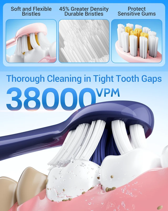 Alt view image 7 of 7 - Blue & Pink Electric Toothbrush for Adults, USB Rechargeable Sonic Toothbrush with 12 Brush Heads, Smart Timer, 6 Modes, 2-Hour Fast Charge Last 30 Days
