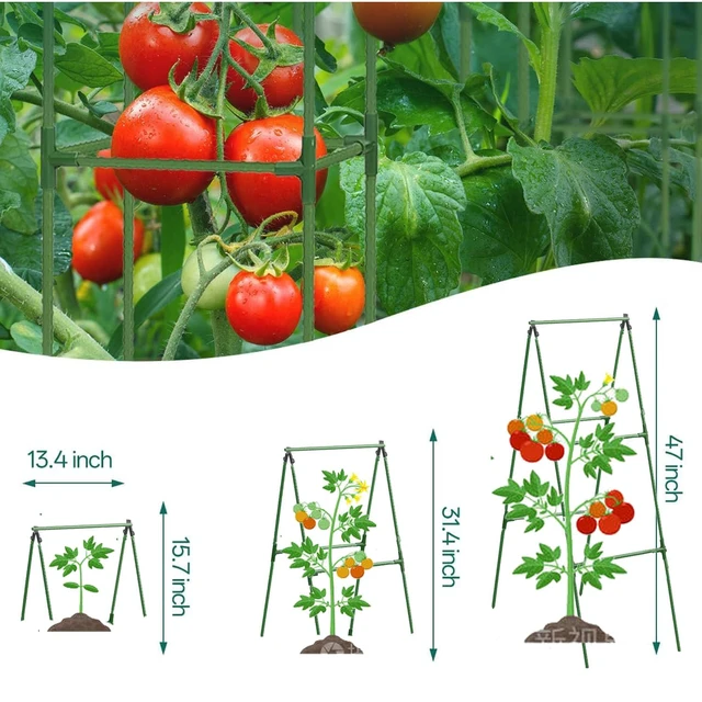 Alt view image 4 of 6 - Cucumber Trellis Garden Trellis Arch Trellis, Tall Trellis for Climbing Plants Support Vegetable Peas Fruit Vine Outdoor A-Frame Trellis Suit for Small Plant not Heavy