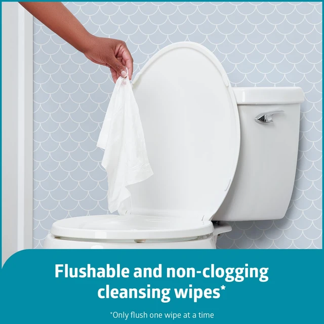 Alt view image 5 of 5 - Medline ReadyFlush Flushable Wipes, 60 Count per Tub, Scented, Biodegradable Incontinence Wet Wipes for Adults with Aloe, Hypoallergenic & pH-Balanced, 8" x 12"