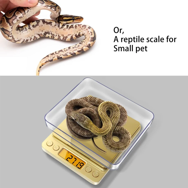 Alt view image 7 of 7 - Small Gram Scale 3000g, Digital Kitchen Food Scale, Gram and Ounce | Gold Titanium Mirror Finish, 0.1g Accuracy, 6 Modes, 2 Trays Included, Tare, Piece Counting, For Food, Coffee, Coins, Herb