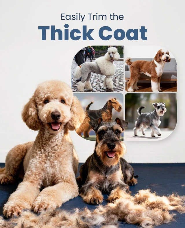Alt view image 7 of 7 - Dog Clippers for Grooming Thick Heavy Coats | Low Noise,Rechargeable Cordless,Detachable Stainless Steel Blade,IPX7 Waterproof,10 Guide Combs,for Thick/Double/Curly Hair