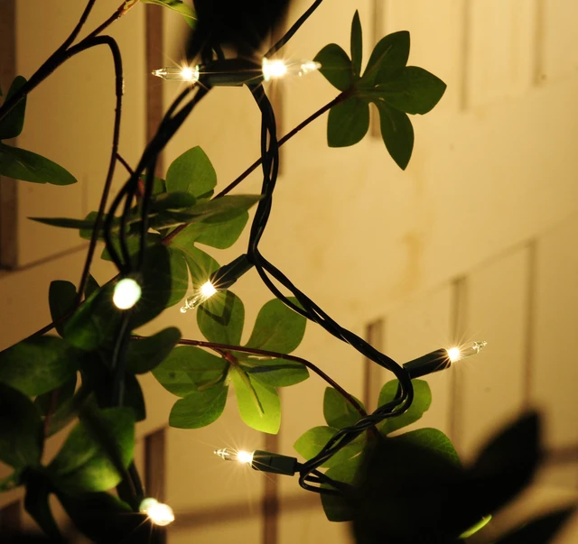 Alt view image 5 of 7 - 50-Count Clear Christmas Light Set