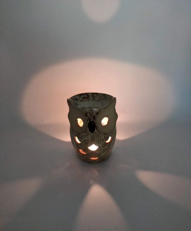 Alt view image 3 of 6 - 7 Inch Ceramic Owl Oil Warmer