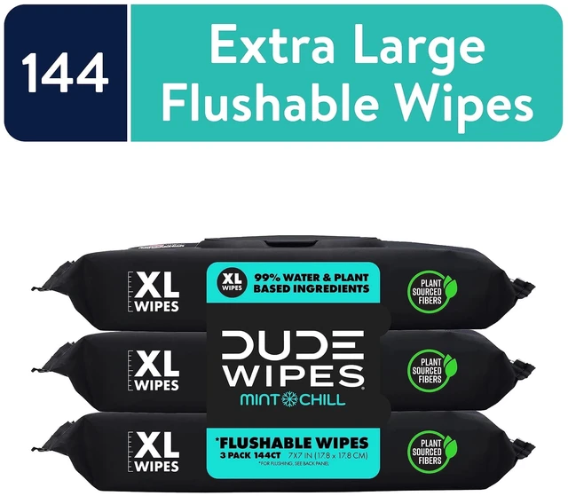 Main image of DUDE Flushable Wipes, Extra Large Mint Chill Wet Wipes, 48 Count, 3 Pack (144 Total)