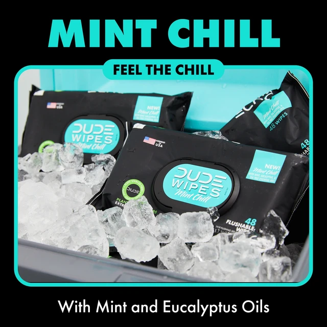 Alt view image 3 of 5 - DUDE Flushable Wipes, Extra Large Mint Chill Wet Wipes, 48 Count, 3 Pack (144 Total)