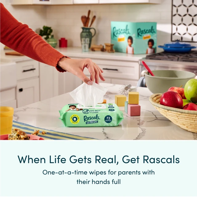 Alt view image 6 of 6 - Rascals Premium Aloe Vera Wipes, 216 Count