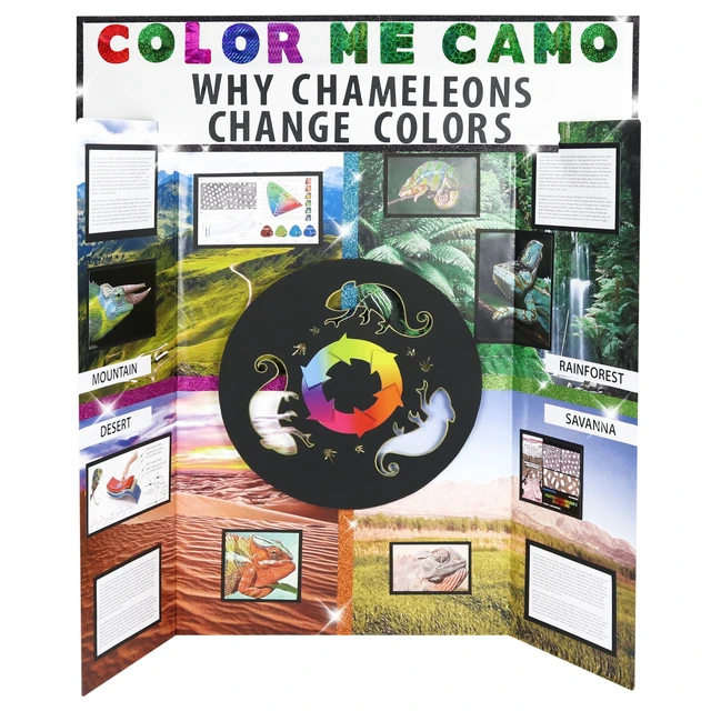 Alt view image 3 of 6 - ArtSkills 36" x 48" White Tri-Fold Display Board Kit with Header, Stickers & Paper for School & Office Projects