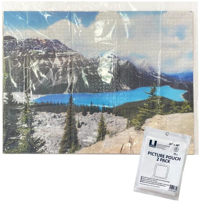 Alt view image 4 of 7 - UBMOVE 2 Pouches for Picture Moving Boxes, 30x48in, Dust and Moisture Protection