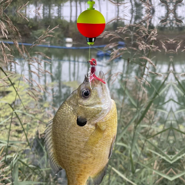 Alt view image 6 of 6 - 10 Packs Weighted Fishing Bobbers Floats, Foam Snap-on Oval Ball Fishing Corks for Bluegill Crappie Panfish Bass Trout