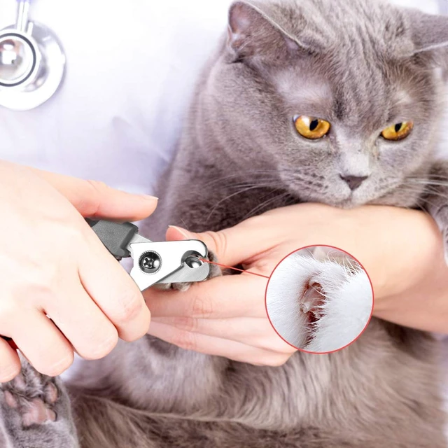 Alt view image 6 of 6 - Tpotato Dog Nail Clippers and Trimmers for Large Breed with Quick Sensor, Safari Professional Cat Nail Clipper with Safety Guard and Nail File