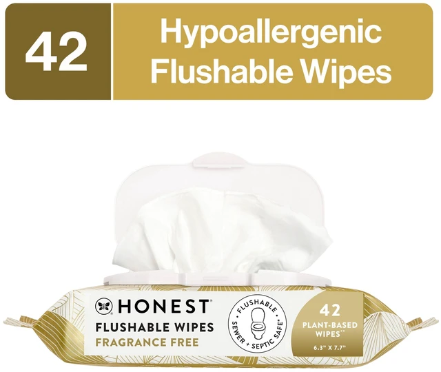 Main image of The Honest Company Flushable Wipes for Adults 42 Count Fragrance Free Hypoallergenic Gilded Wings