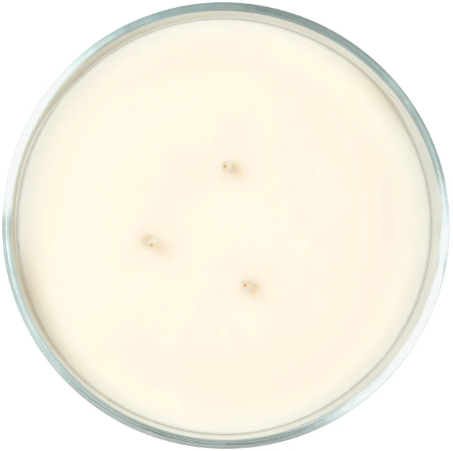 Alt view image 5 of 7 - Mainstays 3-Wick Ombre Wrapped Country Holiday Scented Jar Candle, 14oz