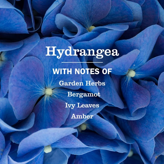 Alt view image 4 of 6 - Mrs. Meyer's Clean Day Hand Soap, Hydrangea Scent, 12.5 Fl Oz