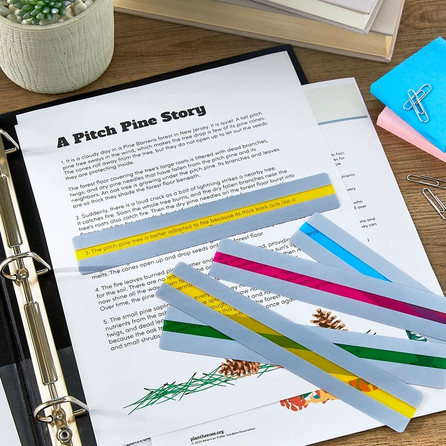 Alt view image 4 of 6 - Pen+Gear Adaptive Multicolor Transparent Reading Aid Strips 10Pack - Focus and Eye Strain Reduction