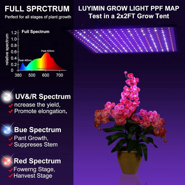 Alt view image 9 of 14 - 600W Full Spectrum LED Grow Light for Indoor Plants-UV Grow Lamp, Seed Starting Seedlings Vegetable Pepper Hanging Growing Lamps