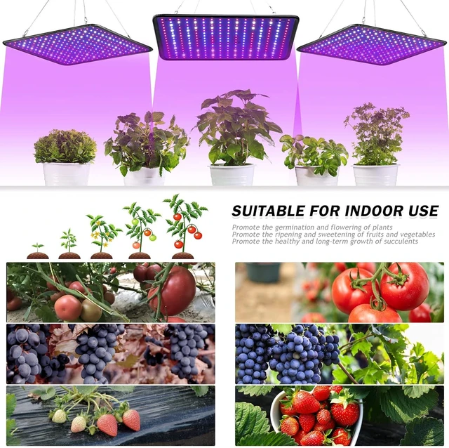 Alt view image 12 of 12 - Grow Light for Indoor Plants - SERWING 200W LED Grow Light Full Spectrum, Plant Growing Lamp for Indoor Cultivation, Greenhouse, Grow Tent, Hydroponics (Full Spectrum)
