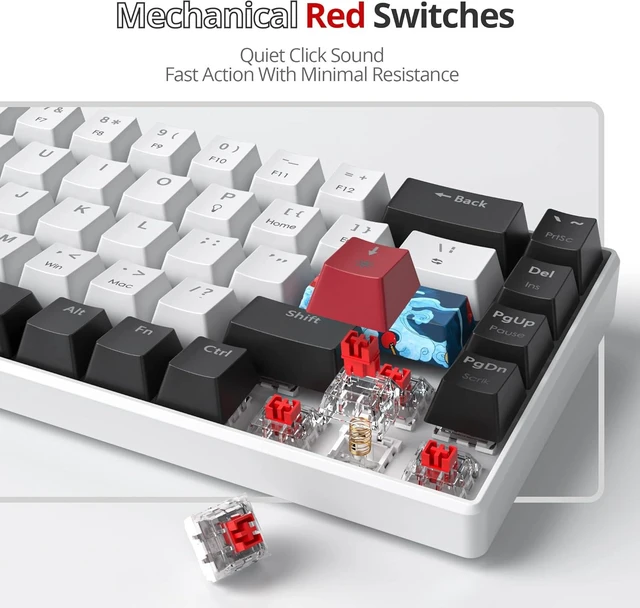 Alt view image 10 of 14 - 60 Percent Gaming Keyboard 68 Keys Mechanical Keyboard LED Backlit Compact Wired Keyboard with Red Switch for Windows PS4/5 Xbox Gamer(Black-White)