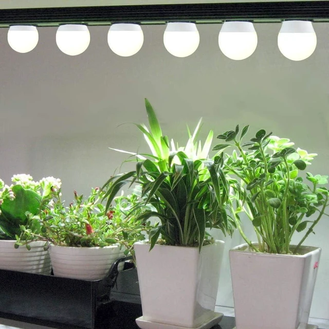Alt view image 12 of 12 - 12 Pack Full Spectrum Grow Light Bulbs,A19 Grow Lights for Indoor Plants,Dimmable E26 9W Grow Bulb Replace up to 100W,Plant Lights for Indoor Growing,Flowers,Greenhouse,Indore