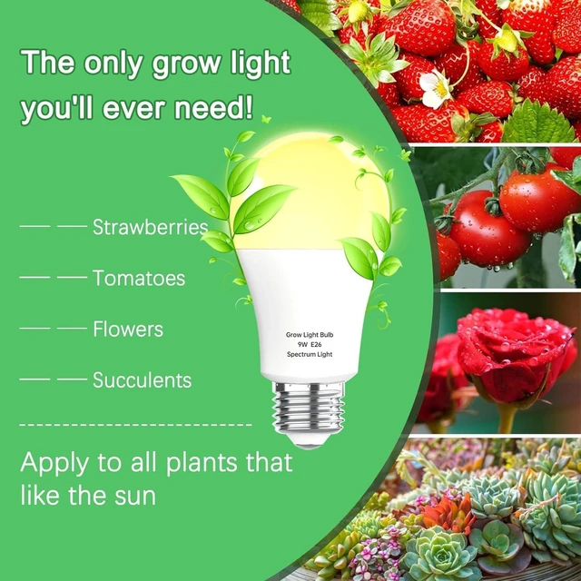 Alt view image 8 of 12 - 12 Pack Full Spectrum Grow Light Bulbs,A19 Grow Lights for Indoor Plants,Dimmable E26 9W Grow Bulb Replace up to 100W,Plant Lights for Indoor Growing,Flowers,Greenhouse,Indore