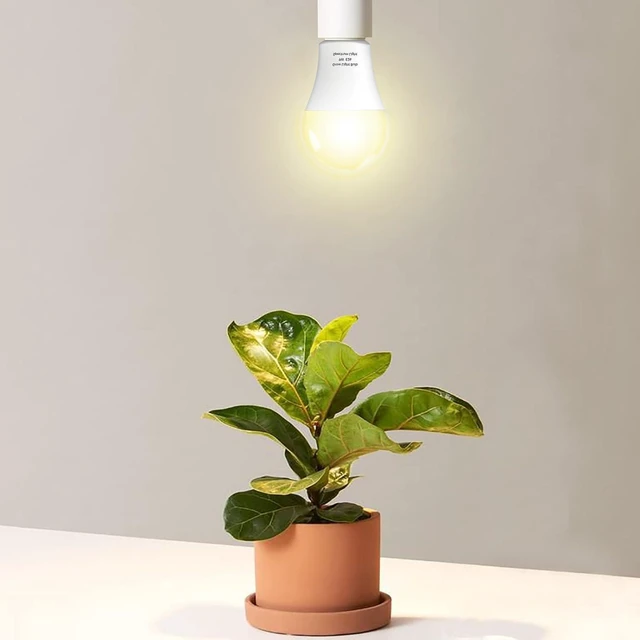 Alt view image 10 of 12 - 12 Pack Full Spectrum Grow Light Bulbs,A19 Grow Lights for Indoor Plants,Dimmable E26 9W Grow Bulb Replace up to 100W,Plant Lights for Indoor Growing,Flowers,Greenhouse,Indore