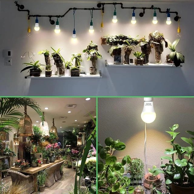 Alt view image 11 of 12 - 12 Pack Full Spectrum Grow Light Bulbs,A19 Grow Lights for Indoor Plants,Dimmable E26 9W Grow Bulb Replace up to 100W,Plant Lights for Indoor Growing,Flowers,Greenhouse,Indore