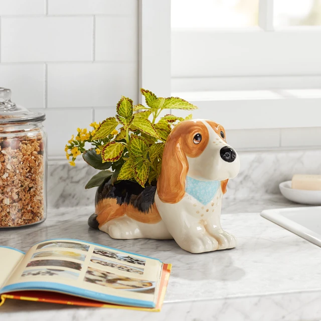 Alt view image 4 of 6 - The Pioneer Woman Charlie the Ranch Dog Stoneware Novelty Planter, 6-Inch Opening