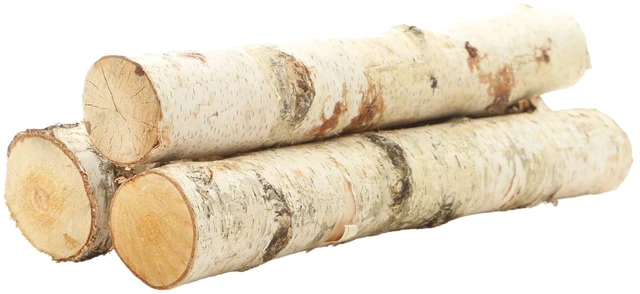 Main image of ProFlora 16" Birch Logs Decorative Pack of 3