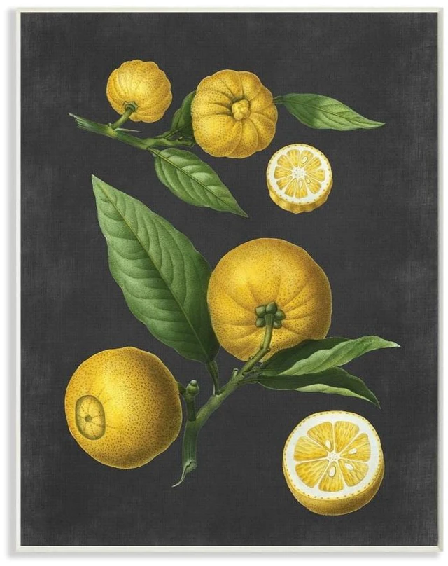 Main image of Stupell Industries Botanical Drawing Lemons on Black Design Wall Plaque by Lettered and Lined