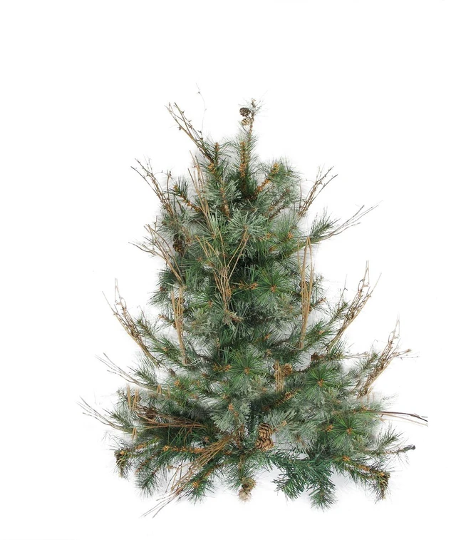 Main image of 2' x 18" Country Mixed Pine Artificial Christmas Wall Or Door Tree - Unlit