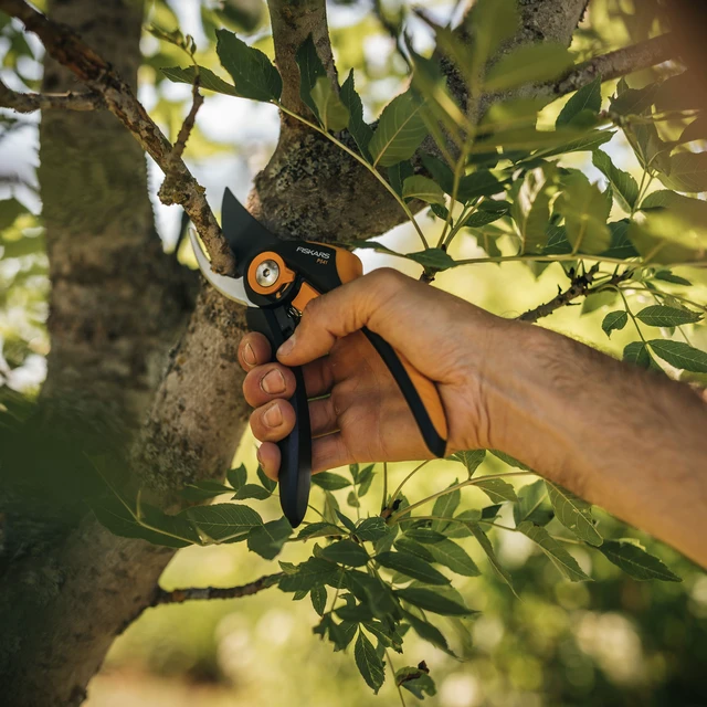 Alt view image 6 of 6 - Fiskars SmartFit Pruner 8-Inch Bypass Non-Stick Steel Blades SoftGrip Handles