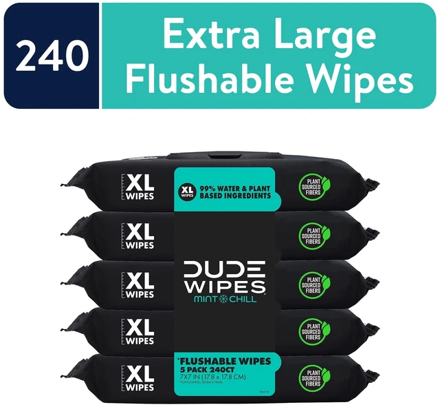 Main image of DUDE Extra Large Mint Chill Flushable Wet Wipes, 48 Count (5 Pack, 240 Total)