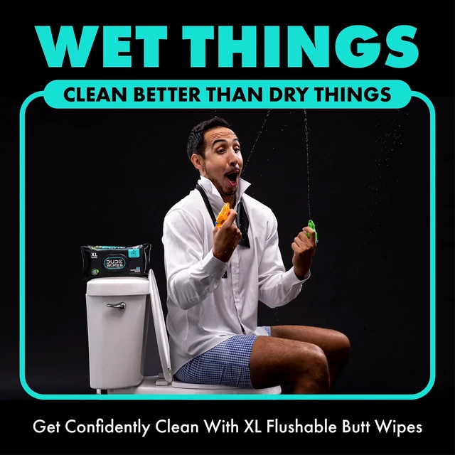 Alt view image 3 of 6 - DUDE Extra Large Mint Chill Flushable Wet Wipes, 48 Count (5 Pack, 240 Total)