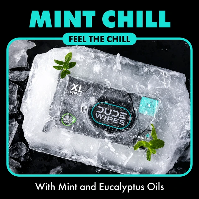 Alt view image 6 of 6 - DUDE Extra Large Mint Chill Flushable Wet Wipes, 48 Count (5 Pack, 240 Total)
