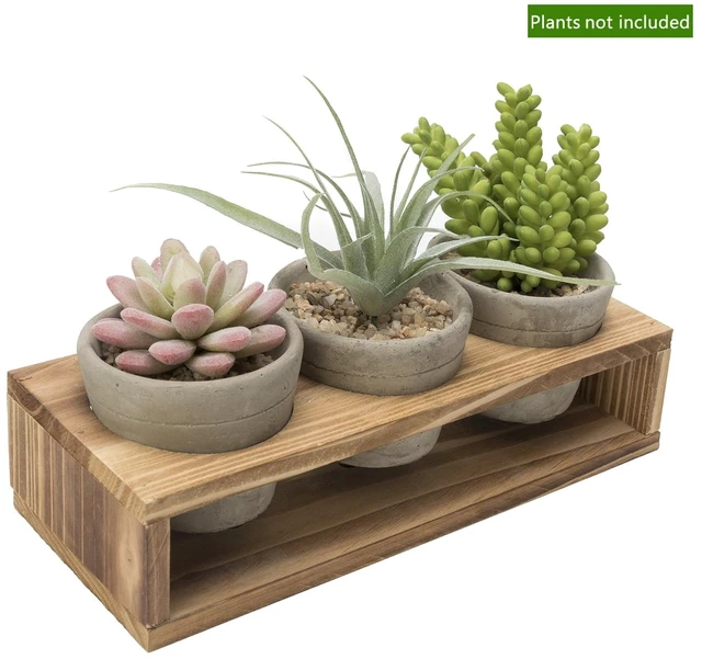Main image of K-Cliffs 3-Piece Mini Gray Cement Pots with Wood Stand, 3.1Dia x 2.5H Inches Each Pot, Stand 10.4L x 1.6W x 2.4H Inches, 3lbs, for Succulents, Herbs