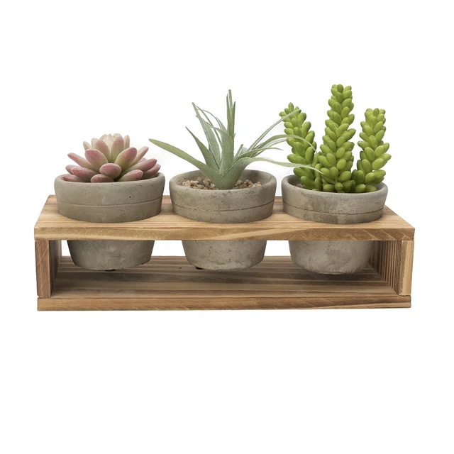 Alt view image 5 of 6 - K-Cliffs 3-Piece Mini Gray Cement Pots with Wood Stand, 3.1Dia x 2.5H Inches Each Pot, Stand 10.4L x 1.6W x 2.4H Inches, 3lbs, for Succulents, Herbs