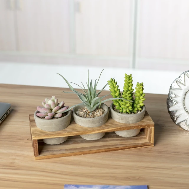 Alt view image 2 of 6 - K-Cliffs 3-Piece Mini Gray Cement Pots with Wood Stand, 3.1Dia x 2.5H Inches Each Pot, Stand 10.4L x 1.6W x 2.4H Inches, 3lbs, for Succulents, Herbs