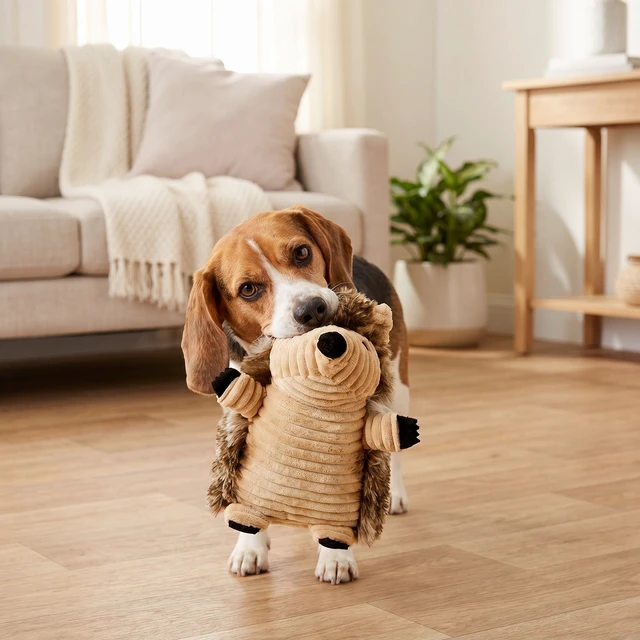 Alt view image 2 of 6 - Vibrant Life Brown Hedgehog Plush Dog Toy with Squeaker, Chew Level 2 (3 Pack)