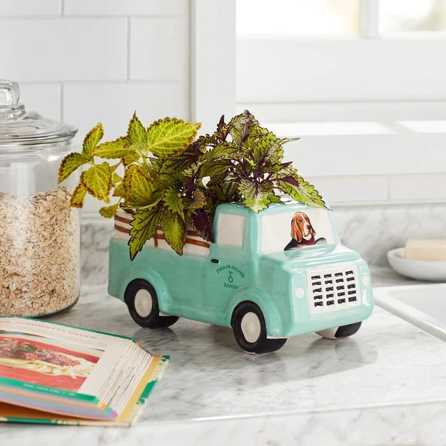 Alt view image 4 of 5 - Drummond Truck Novelty Planter 6-Inch Opening Stoneware by The Pioneer Woman