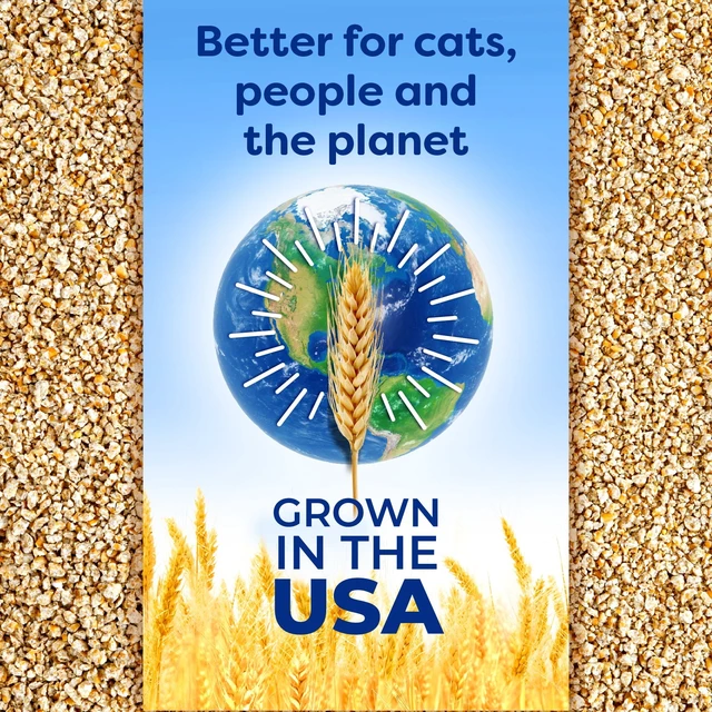 Alt view image 4 of 6 - SWheat Scoop Multi-Cat Natural Clumping Wheat Cat Litter, 15lb
