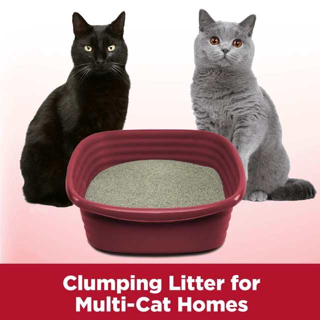 Alt view image 2 of 5 - ARM & HAMMER Clump & Seal Cat Clumping Litter Multi-Cat Odor Sealing 99.9% Dust Free 14lb