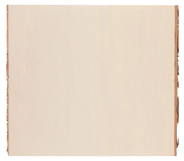 Alt view image 5 of 5 - Hampton Art Basswood Rectangle W/Bark Live Edge Wood Slab, 9"x10.25"