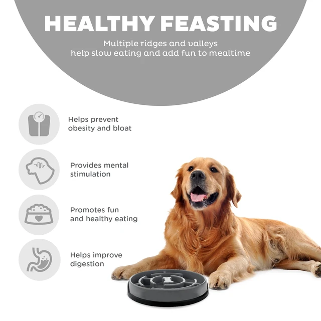 Alt view image 3 of 6 - Outward Hound Large Fun Feeder Slo Bowl Slow Feeding Dog Bowl Grey