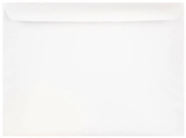 Main image of JAM Paper 9 x 12 Booklet Commercial Envelopes, White, 25 per Pack