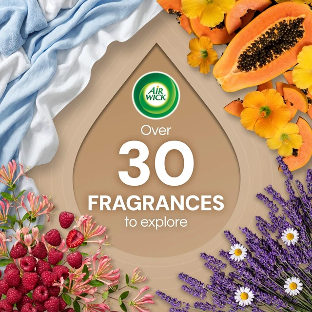 Alt view image 3 of 7 - Air Wick Plug-in Scented Oil Warmer Refills, Honeysuckle & Raspberry, 4 Count